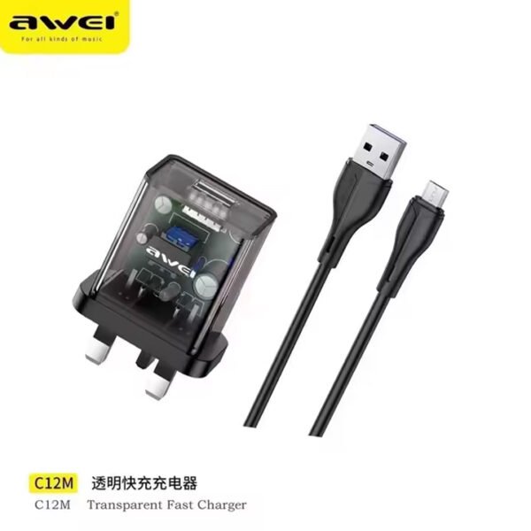 Awei Travel Adapter with Micro Cable PA-C12M